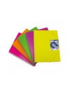 Carpeta con 50 Fundas...