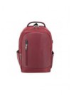 Mochila Pierre Delone G-199...